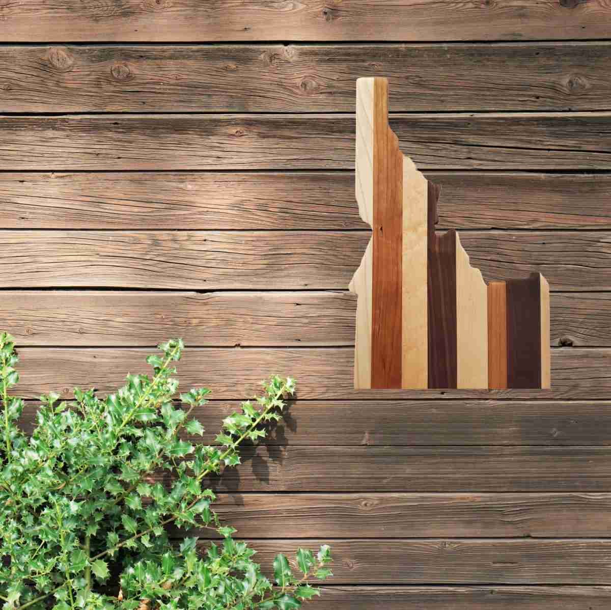 Idaho Cutting Board for Home Decor - Image 2